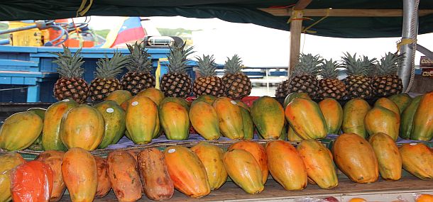 gesorteerd fruit met boot op achtergrond